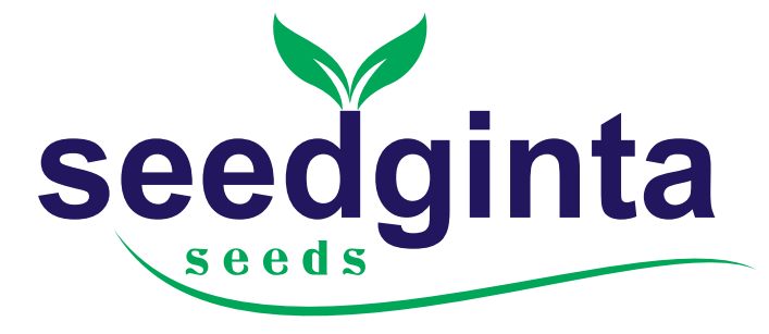 Seedginta Logo