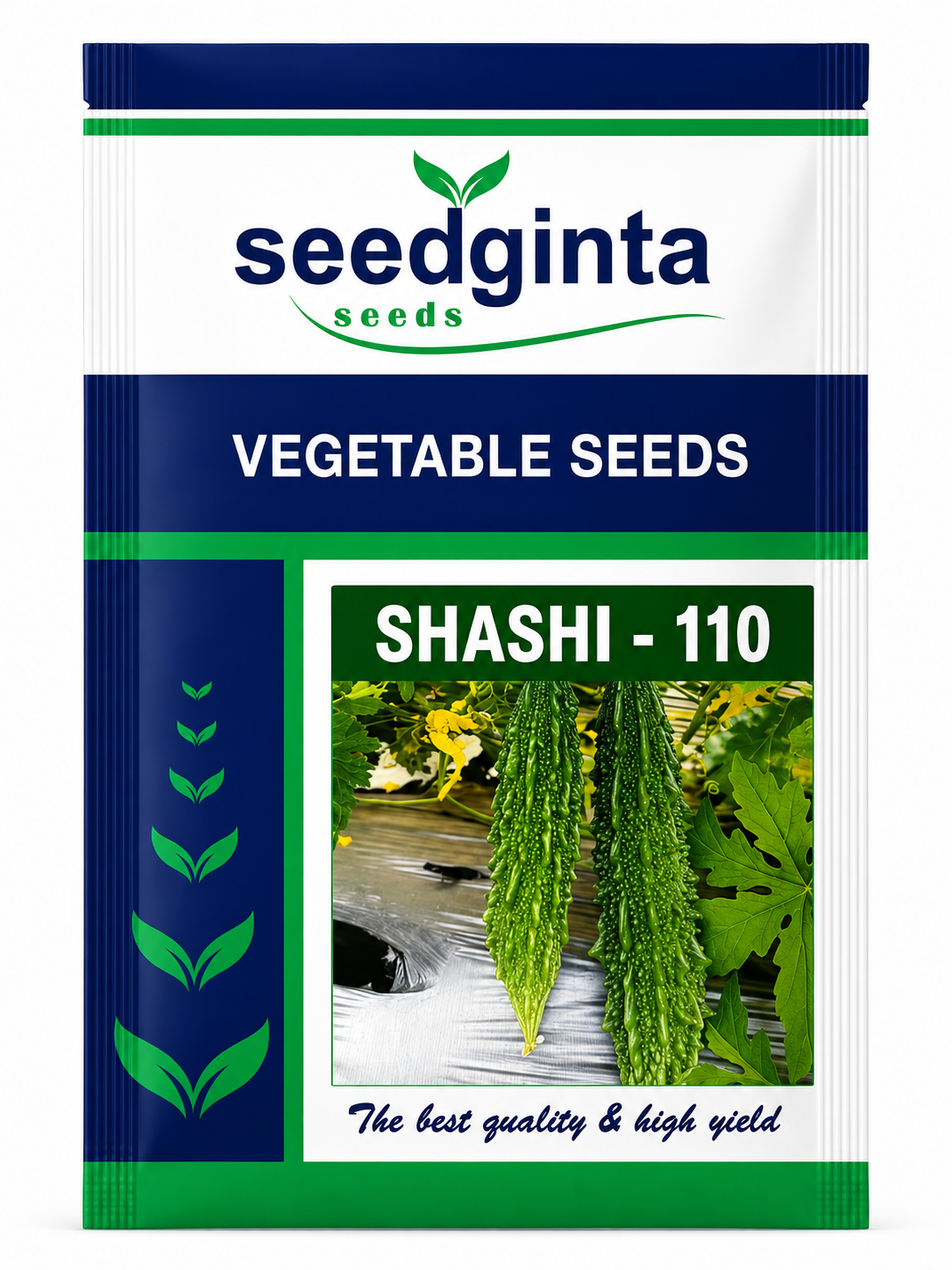 Vegetables Seeds