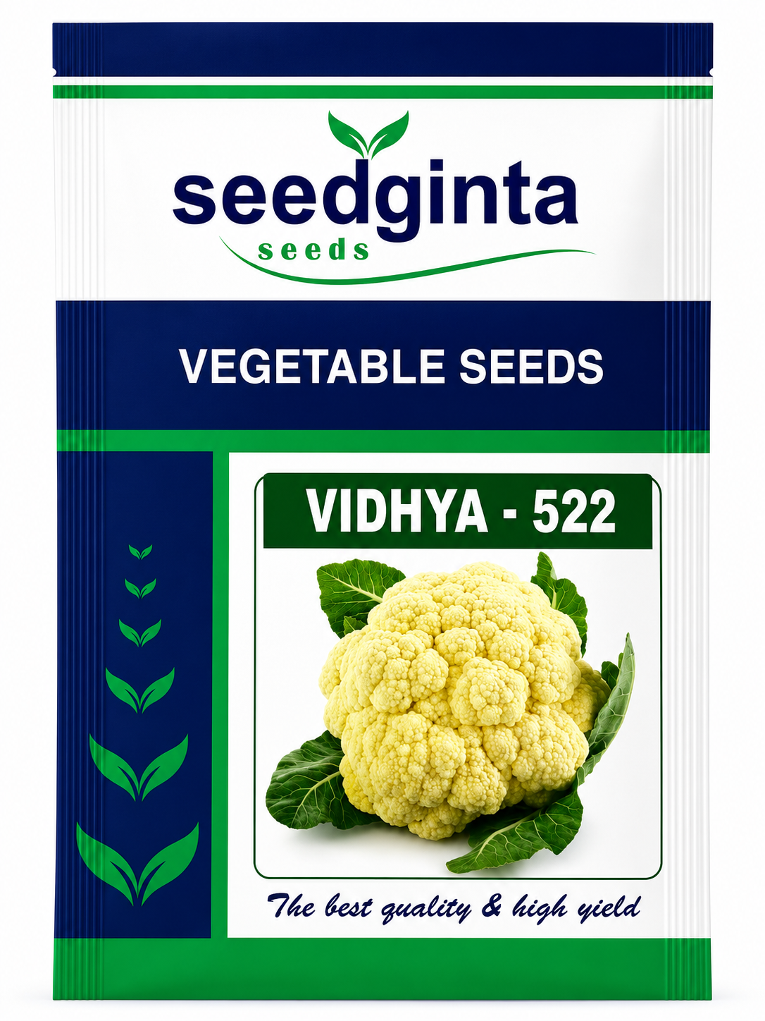 Vegetables Seeds