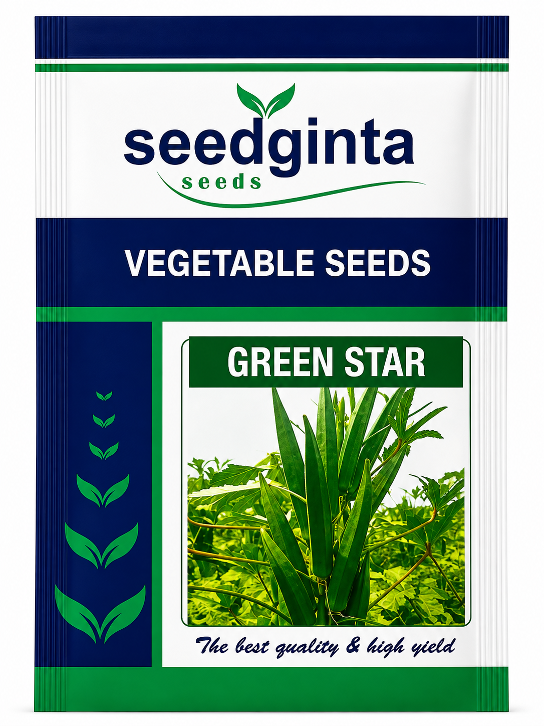 Vegetables Seeds