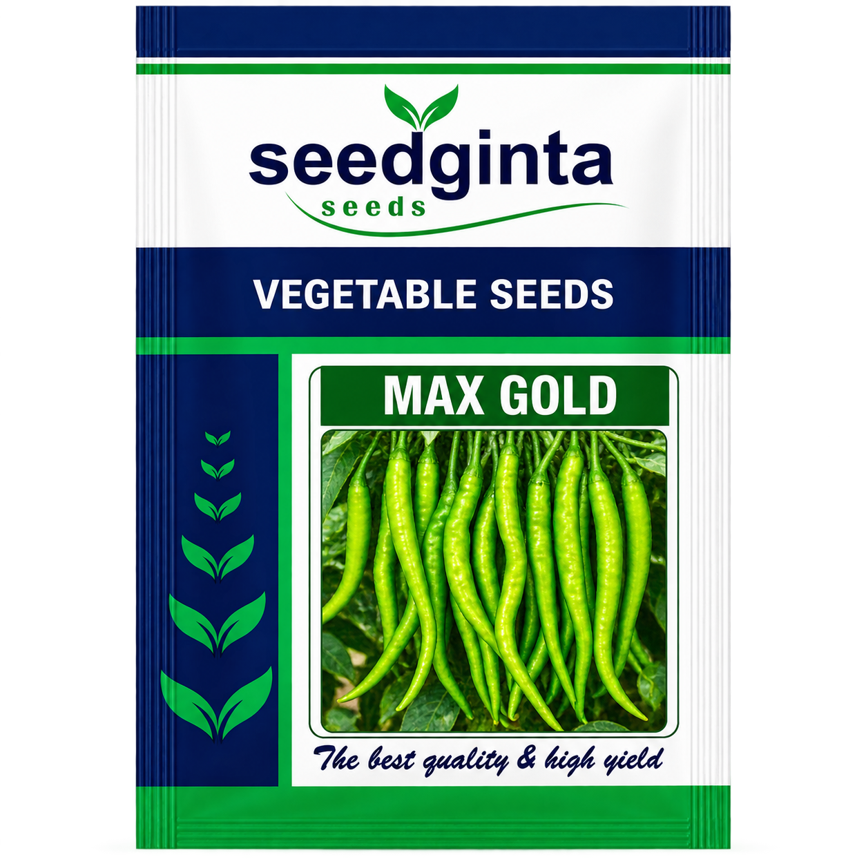 Vegetables Seeds