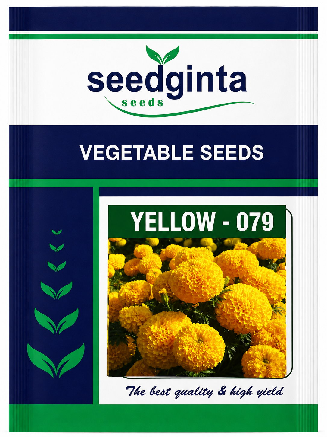 Yellow-079