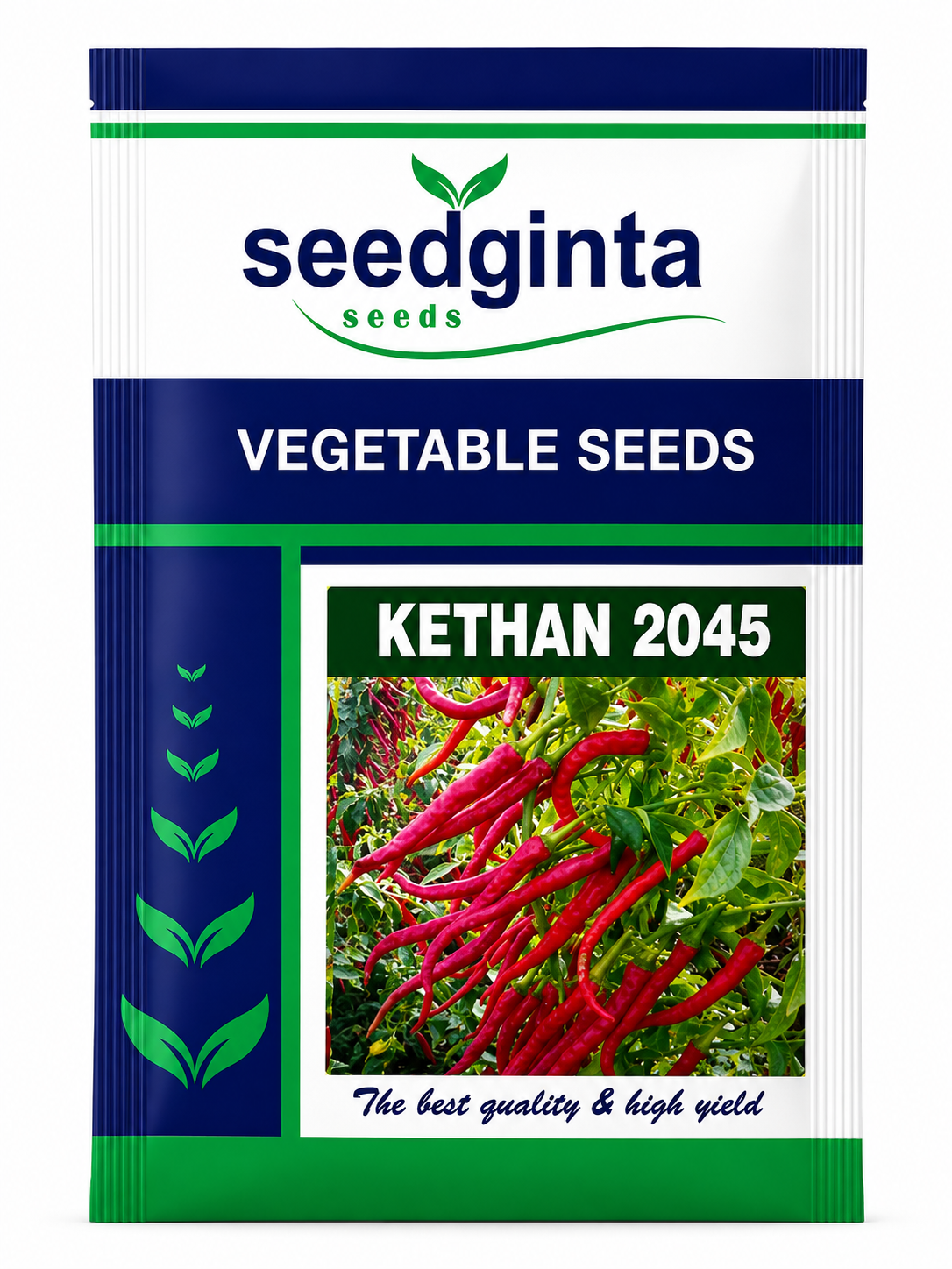 Vegetables Seeds